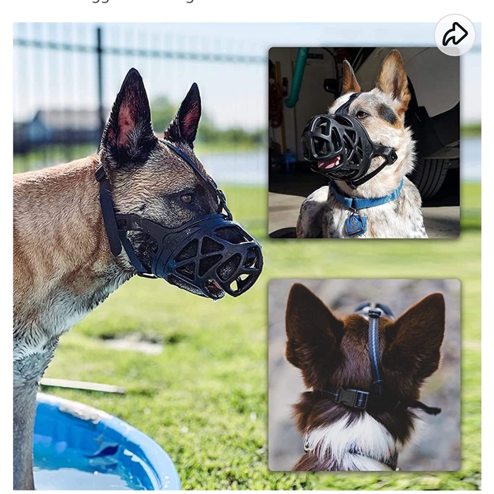 Dog muzzle - Picture 4 of 4